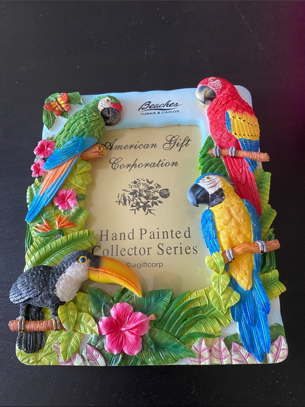 Vintage Beaches Turks & Caicos 3D Parrot Photo Frame